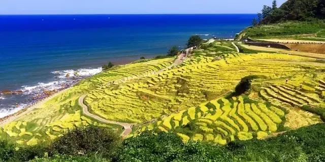 山西身份证为什么是14开头,山西身份证14开头