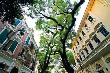 喝过就忘不了!70年光阴,是什么让它成为很多广州人的记忆?