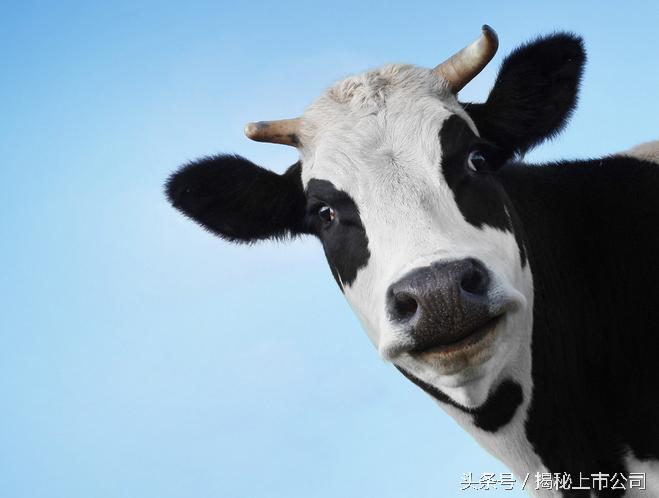 蒙牛伊利对中国乳制品有什么影响,中国乳制品蒙牛伊利