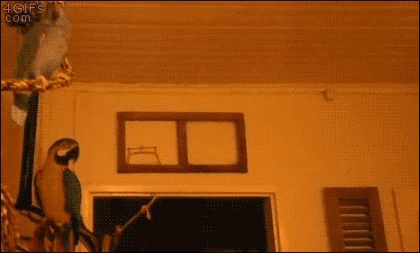 内德看英超微博,内德专栏新赛季看曼联什么