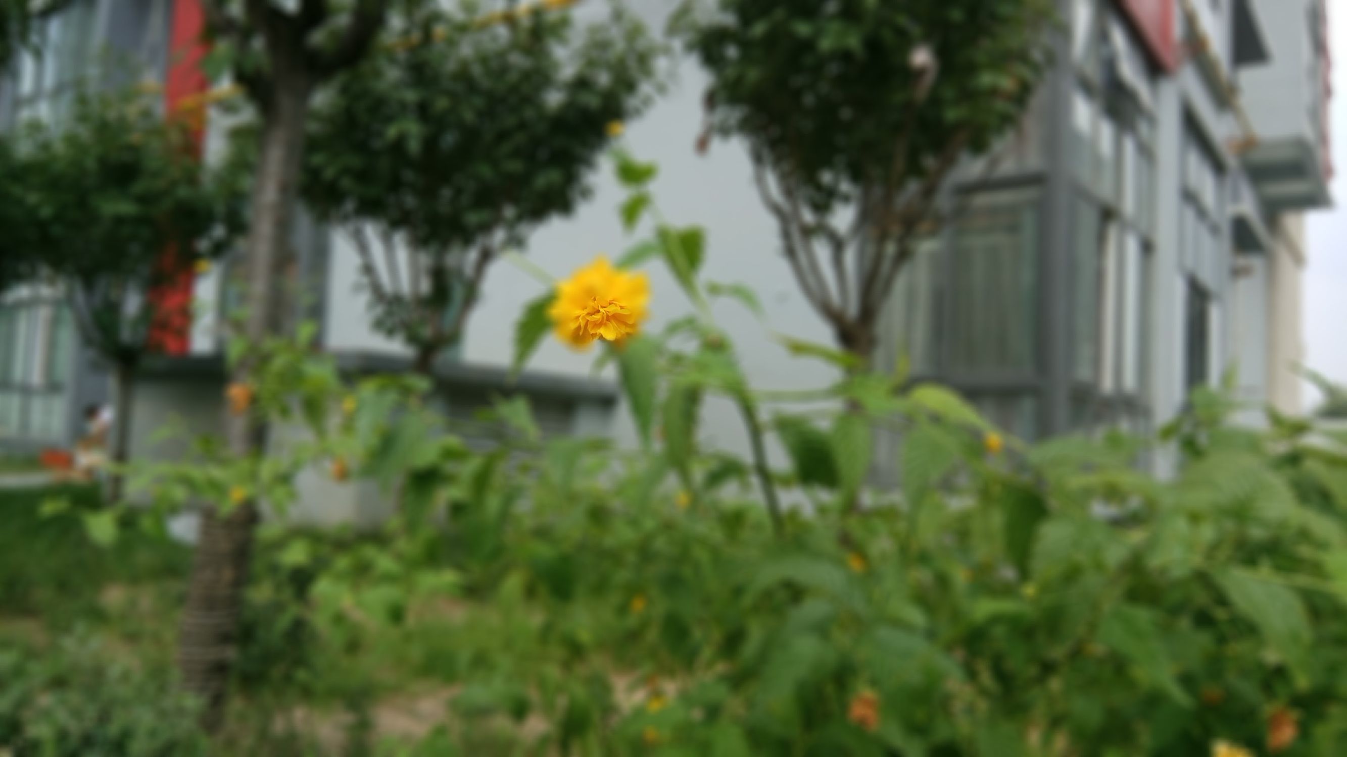 小米pro和红米pro,小米红米pro游戏测评