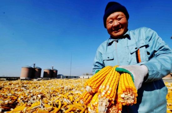 黑龙江的男人性格特点,黑龙江人性格特点总结