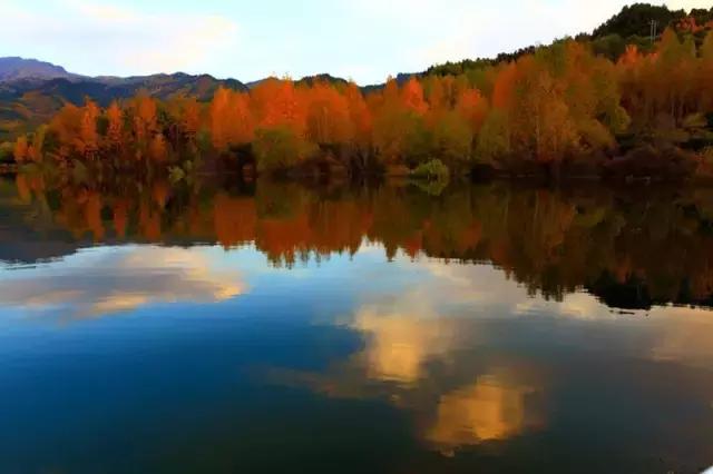 山西身份证为什么是14开头,山西身份证14开头