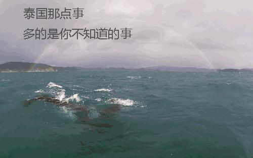 泰国有什么好东西值得购买,泰国哪些东西好吃又便宜