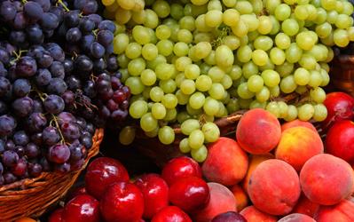 基础代谢减肥法一个月可以瘦几斤,基础代谢减肥法100天瘦47斤