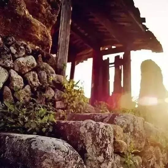 安溪由茶乡变成诈骗之乡,安溪为啥被称为诈骗之乡