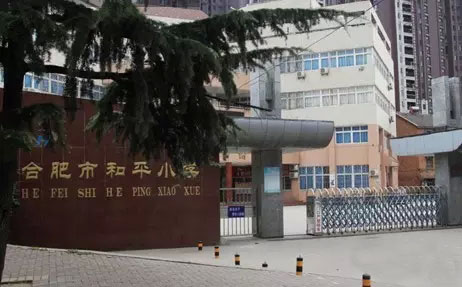 合肥市小学前二十名排名,合肥最牛的十所中学