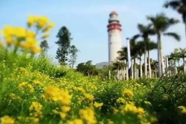 福建这些文艺到爆的灯塔,去完之后才能跟夏天好好道个别!