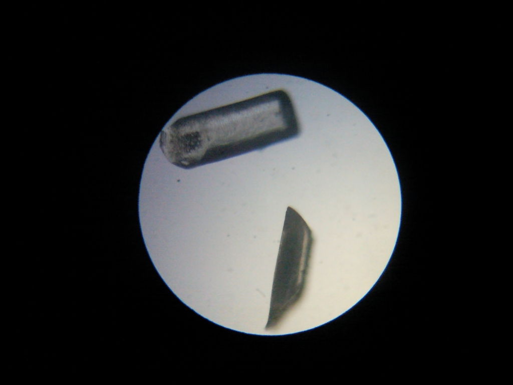 手机摄像机如何可以当显微镜使用,如何用旧手机的摄像头做显微镜