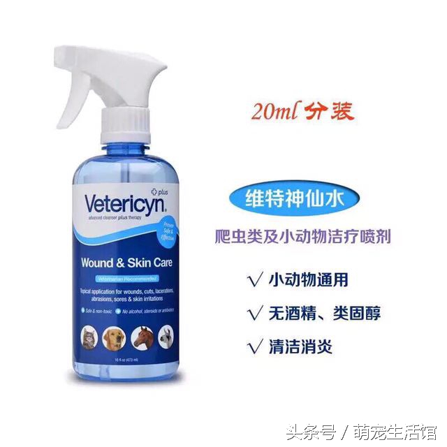 金丝熊日常需要准备的药物,仓鼠金丝熊适用的药品