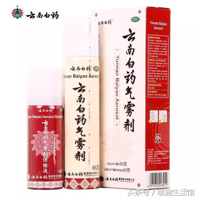 金丝熊日常需要准备的药物,仓鼠金丝熊适用的药品