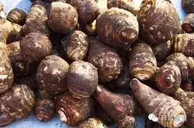 春季吃一宝的好处,秋后吃五宝身体自然好