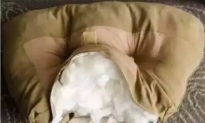 沙发海绵塌陷怎么恢复,沙发坐垫海绵塌陷怎么恢复