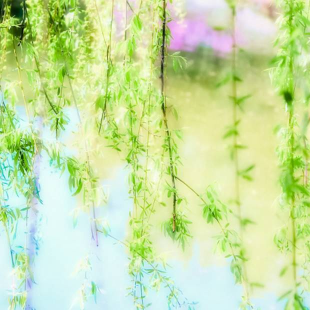 里约奥运会巅峰对决,2016年里约奥运会牵手