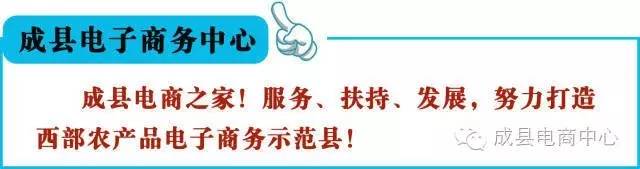 成县核桃节，乡镇电商路苏元镇创新网货包装，严控网货质量，走品牌扶贫之路