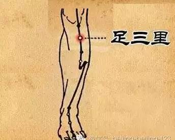 今天处暑,今天处暑节气