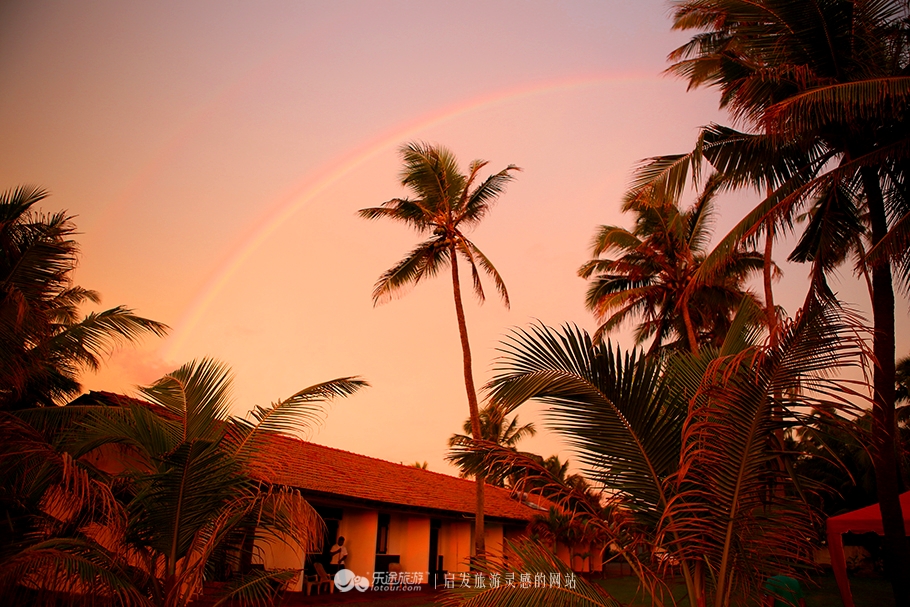 当足球遇上夕阳,当足球遇见奇骏