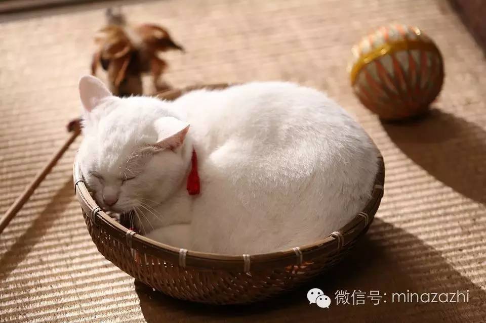 日剧全集,近三十年来最好看的12部日剧盘点