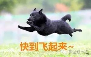 这是闹哪样？七夕，咸宁一楼盘竟给小孩送避孕套！