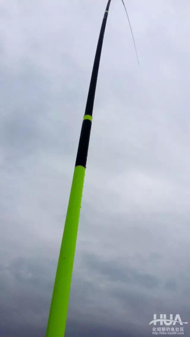 化氏飞鲨三代开光,化氏飞鲨大物抄网竿