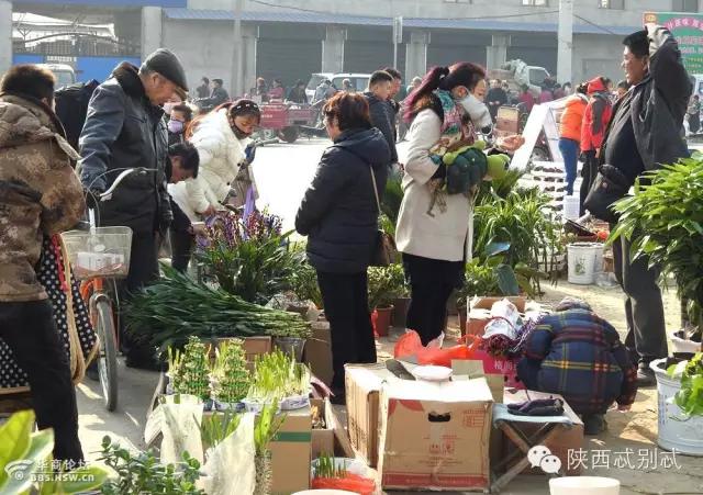 陕西过年拥挤集市有哪些,陕西大集有哪些
