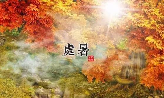 今天处暑,今天处暑节气