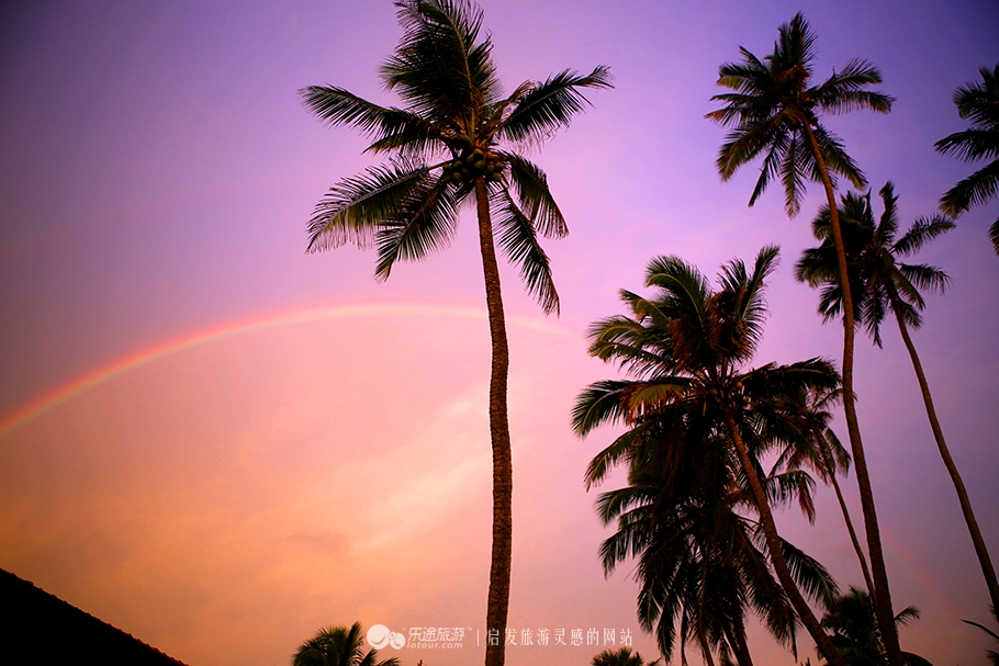 当足球遇上夕阳,当足球遇见奇骏