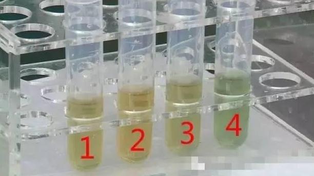 囤年货千万不要囤这七类食物,年货怎么吃才能吃出健康