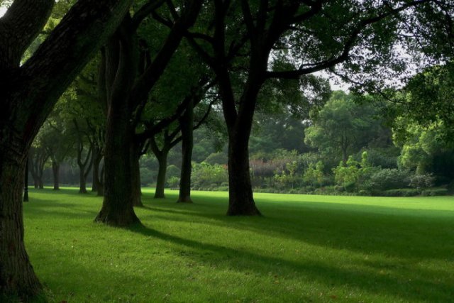 探索上海,上海西郊宾馆地址