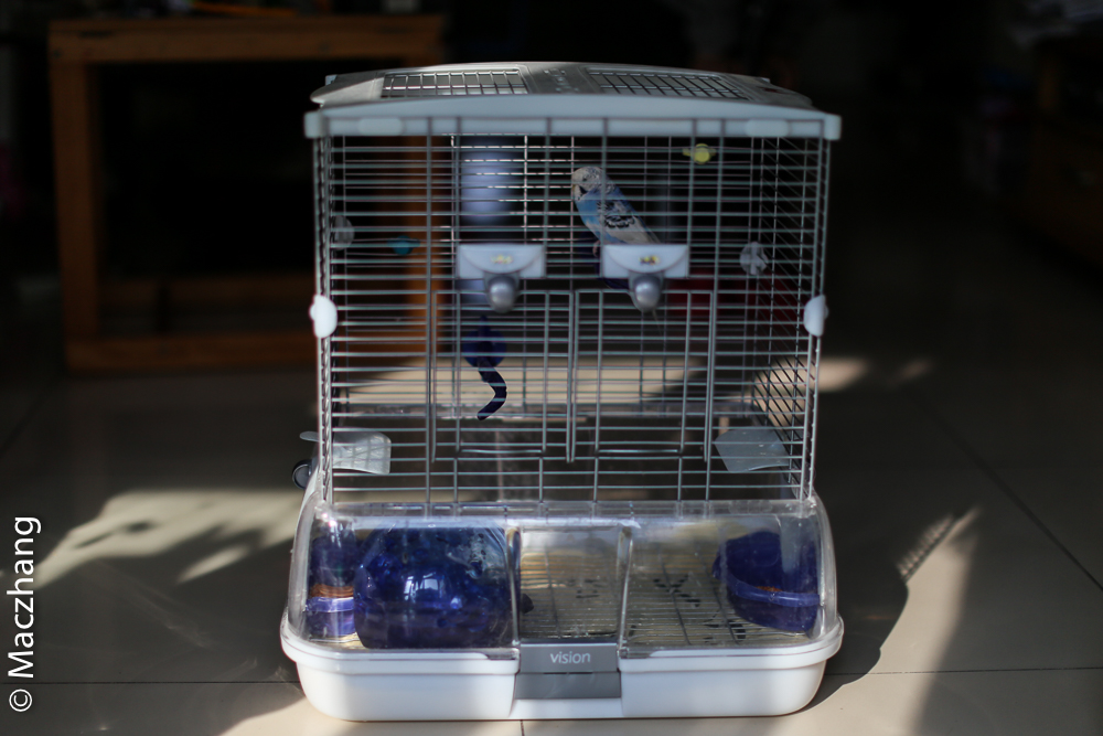 哈根笼子设计,鹦鹉笼设计图