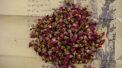 118朵花这个数字有什么寓意,118种花的花语合集图片