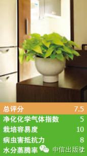 雾霾天室内空气真的比室外好吗,室内防止雾霾的小妙招