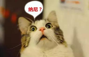 娉板浗钀藉湴绛剧敵璇疯〃,娉板浗钀藉湴绛捐浆绛捐瘉