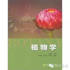 芳疗入门书籍推荐学习经验分享