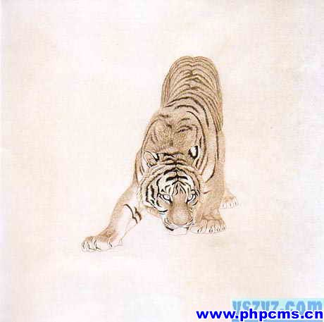 工笔虎技法,工笔虎教学