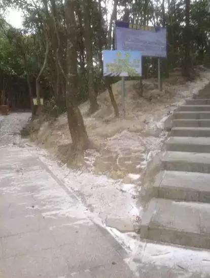 东莞第一场雪哪一年,东莞哪一年下过雪