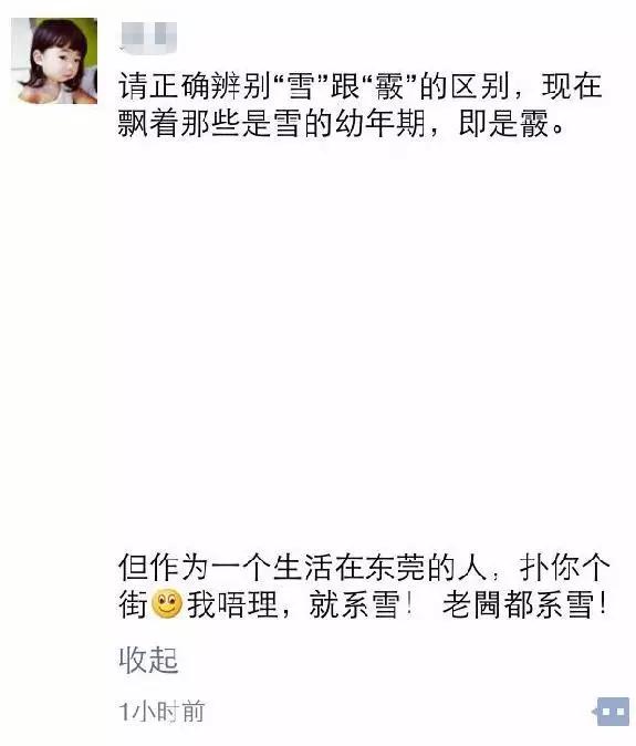 东莞第一场雪哪一年,东莞哪一年下过雪