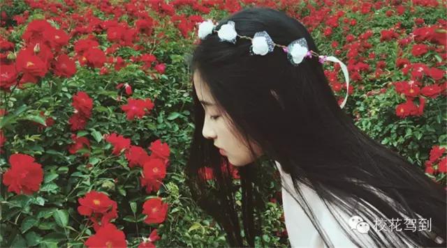 校花驾到之美女校花,刘美玲校花