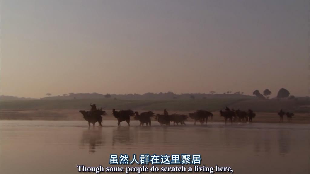 哪些高品质的纪录片值得一看,推荐几部好看的纪录片