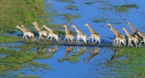 哪些高品质的纪录片值得一看,推荐几部好看的纪录片