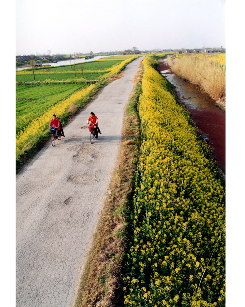 范仲淹修堤坝全过程思维导图,范仲淹为什么要修范公堤