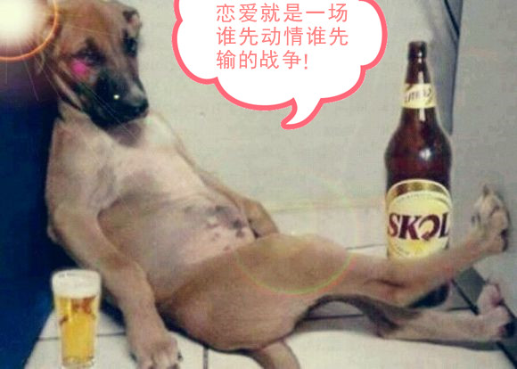 男生该如何提升异性缘,异性缘变好的话术