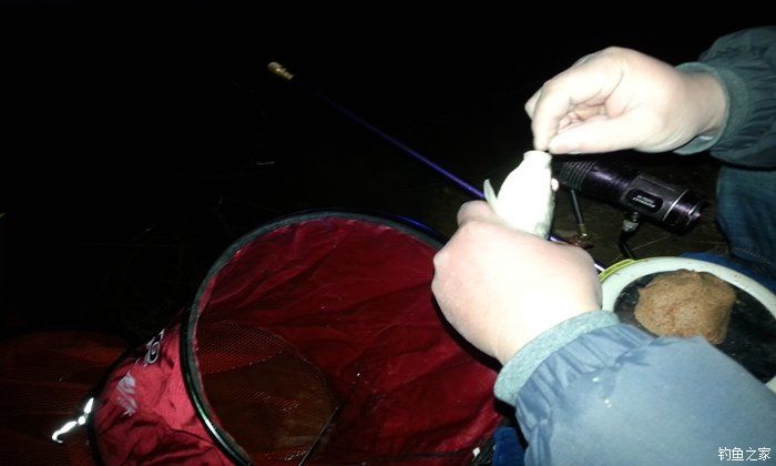 西江夜钓最佳时间,西江夜钓没口