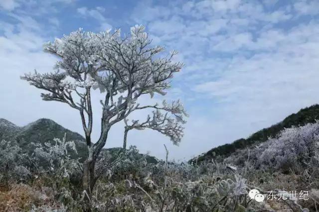 大明山海拔多少米,大明山海拔高