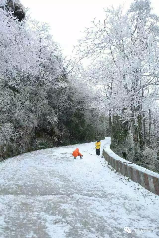 大明山海拔多少米,大明山海拔高