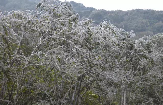 大明山海拔多少米,大明山海拔高