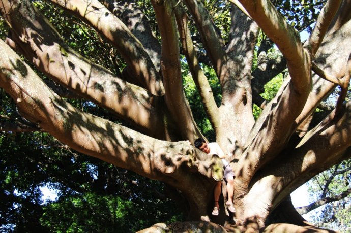 奥克兰天空城,奥克兰天空之塔攻略