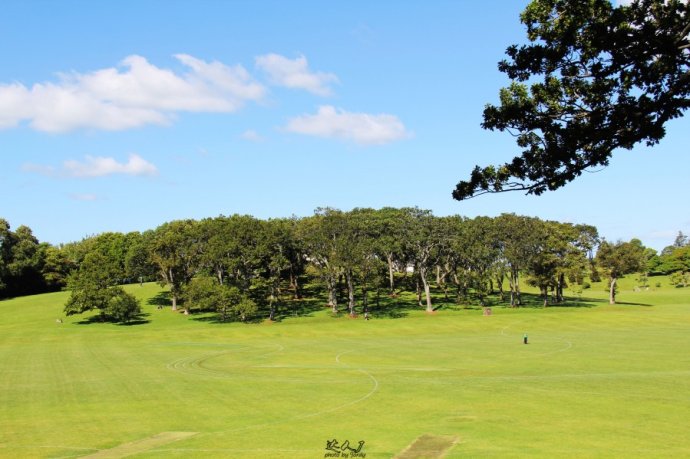 奥克兰天空城,奥克兰天空之塔攻略