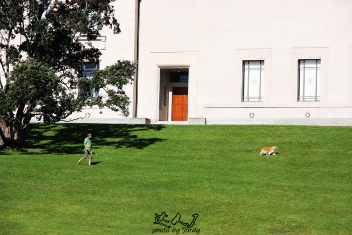 奥克兰天空城,奥克兰天空之塔攻略