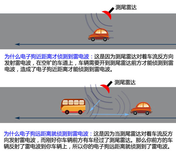一张图看懂狗的智力,几张图看完狗的一生